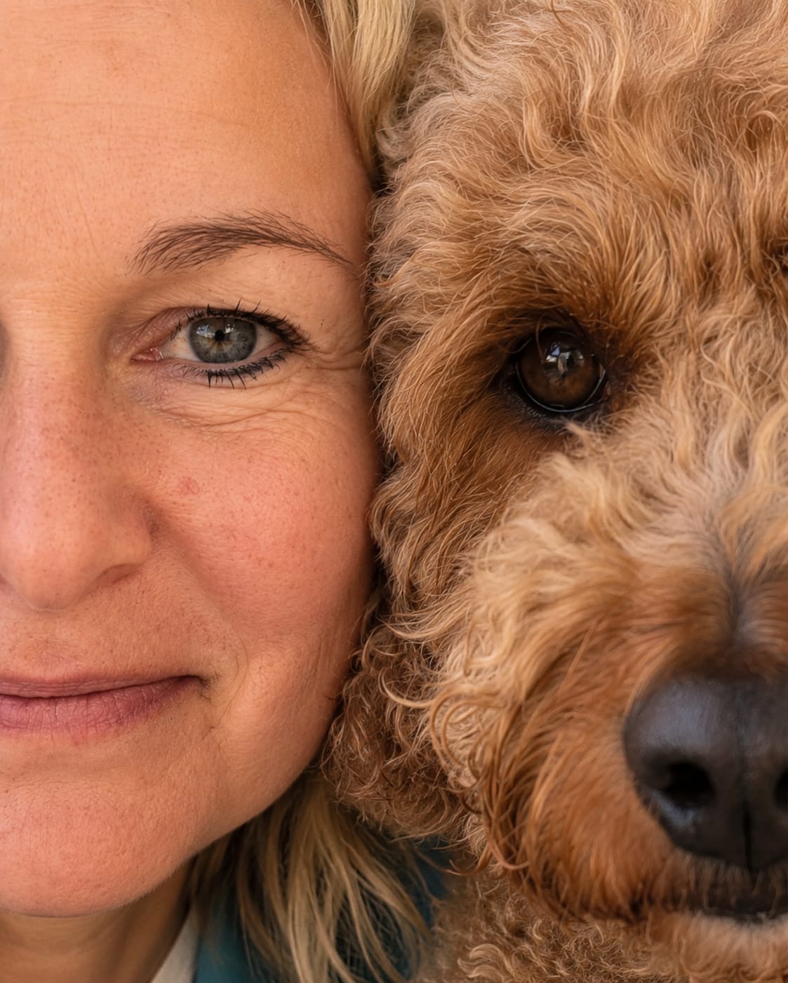 Gepflegter Hund